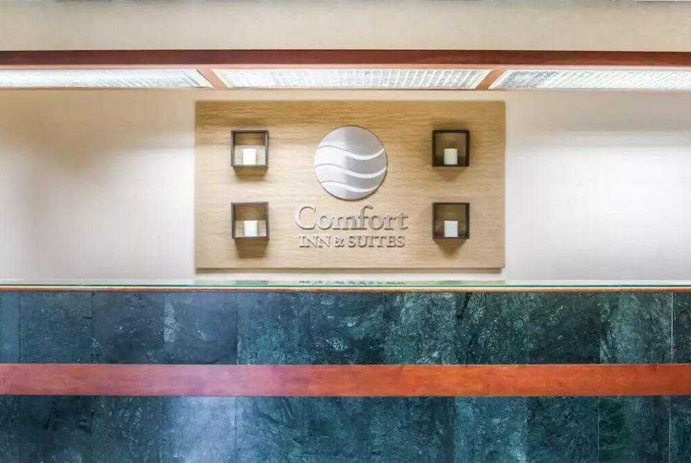 Comfort Inn & Suites Maumee - Toledo I80-90 Eksteriør billede